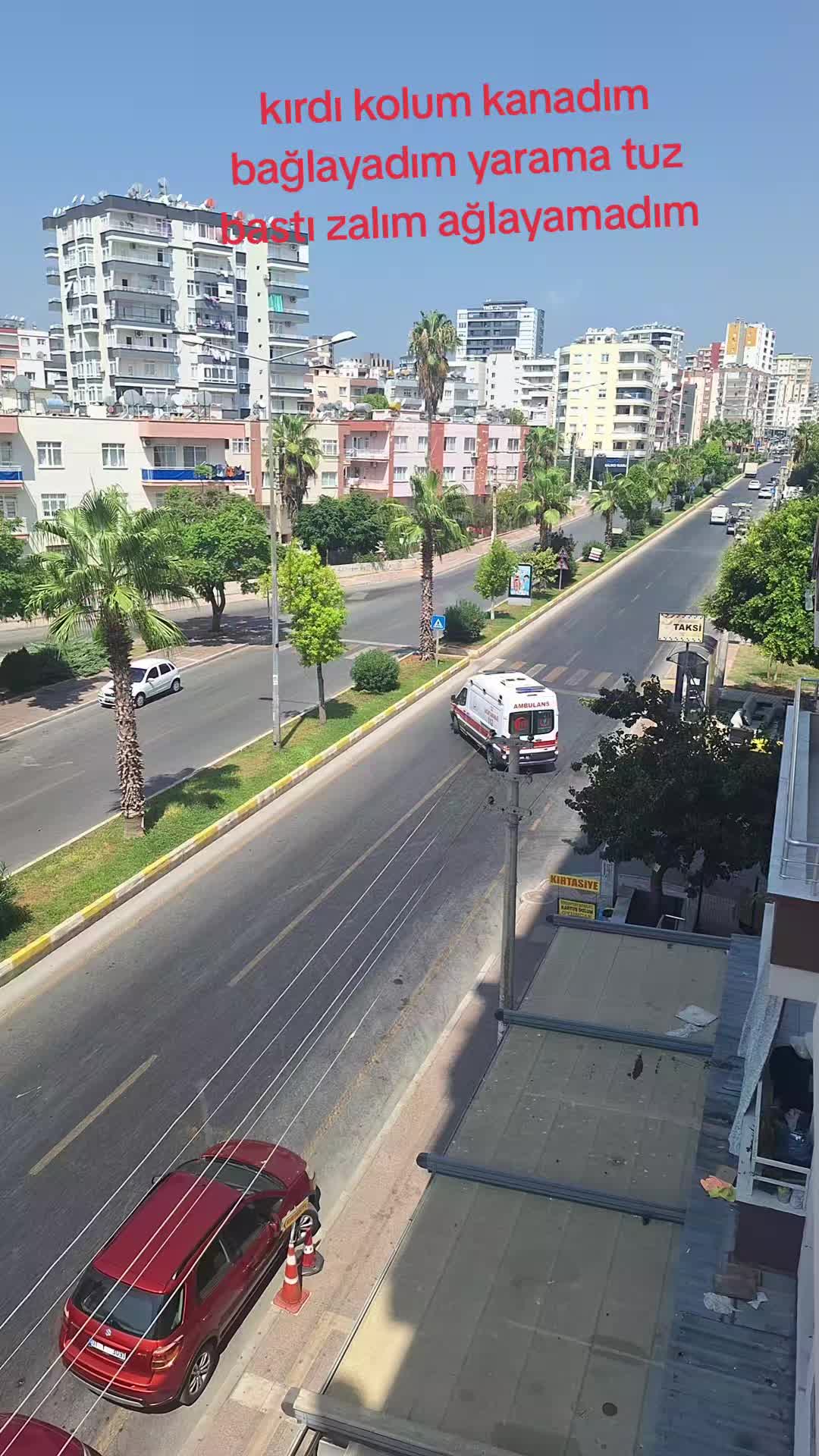 @Songül