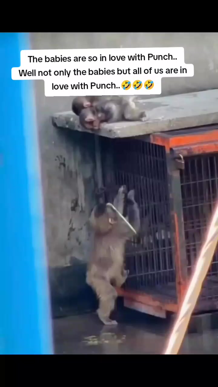 @Mochi/Rusty
