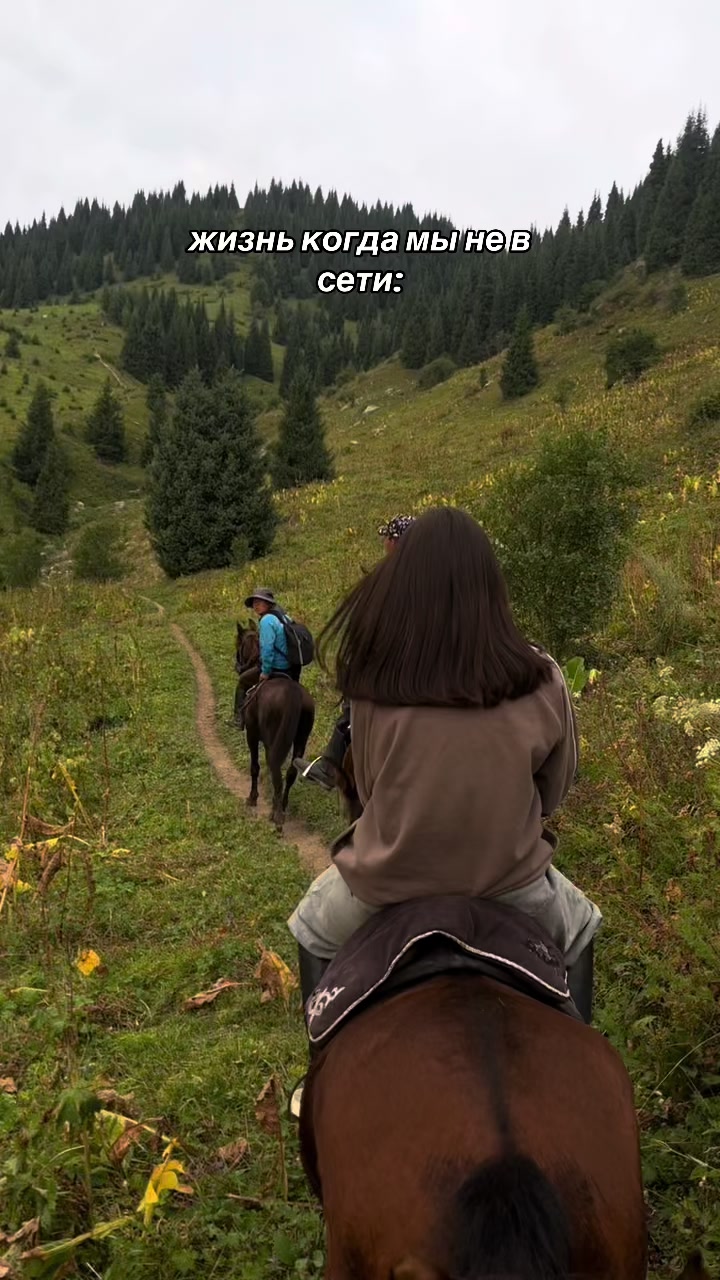 @akshatau_horses
