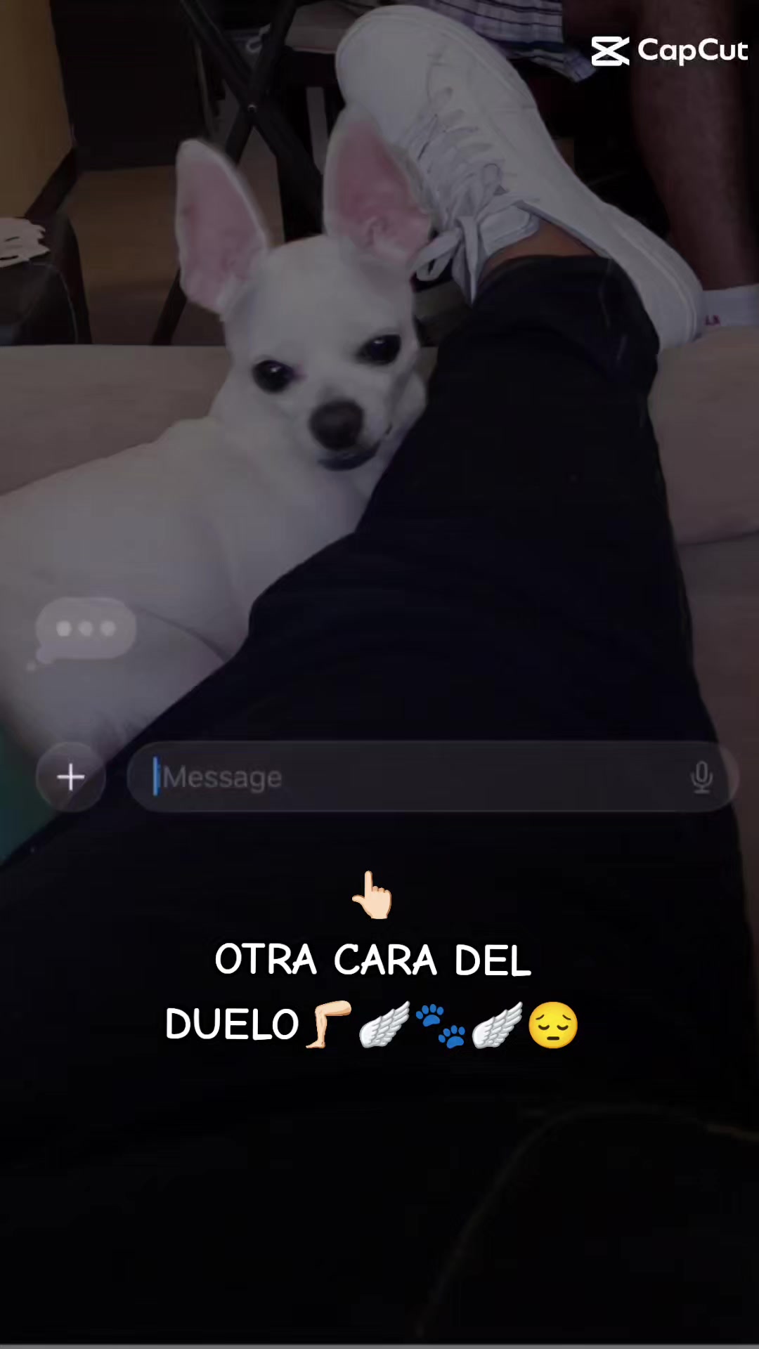 @LilyTajonar🦵🏻🪽😔