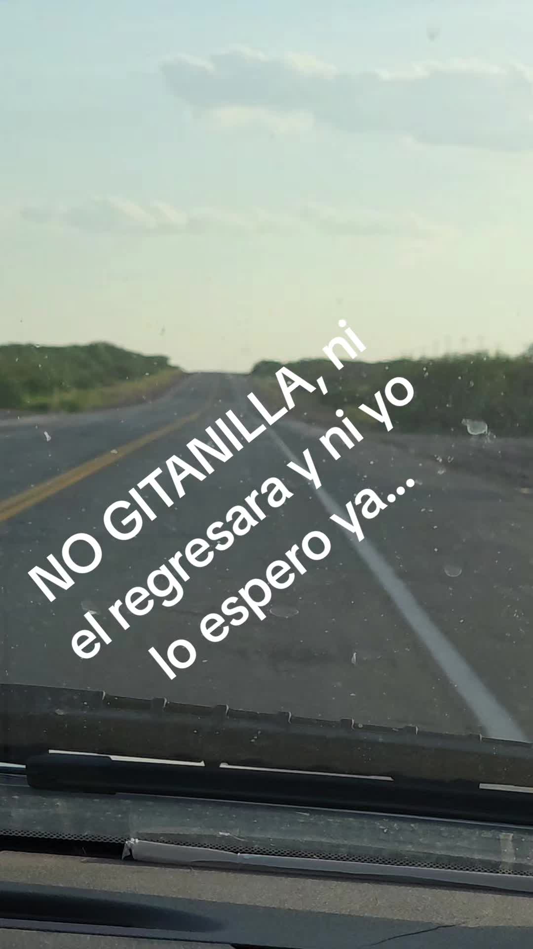 @Monica Vasval