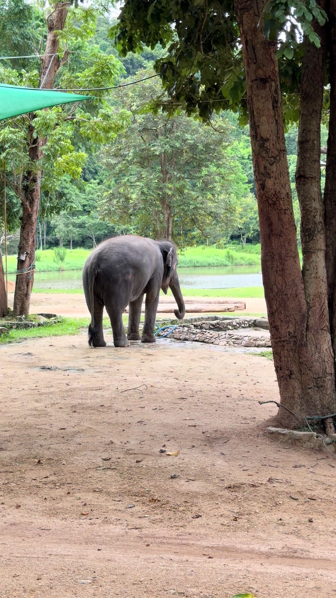 @Qvy Boonchanawiwat