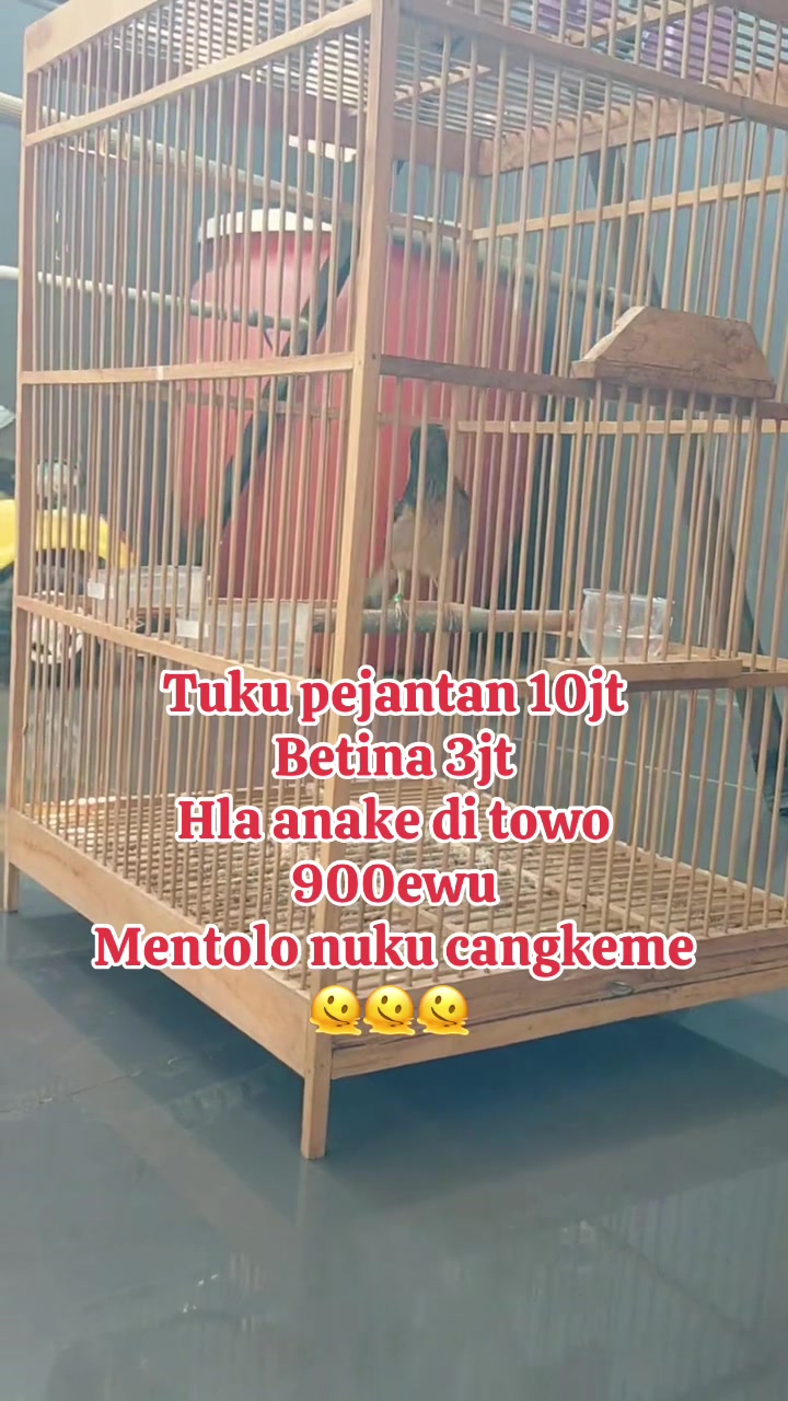 @Shantian