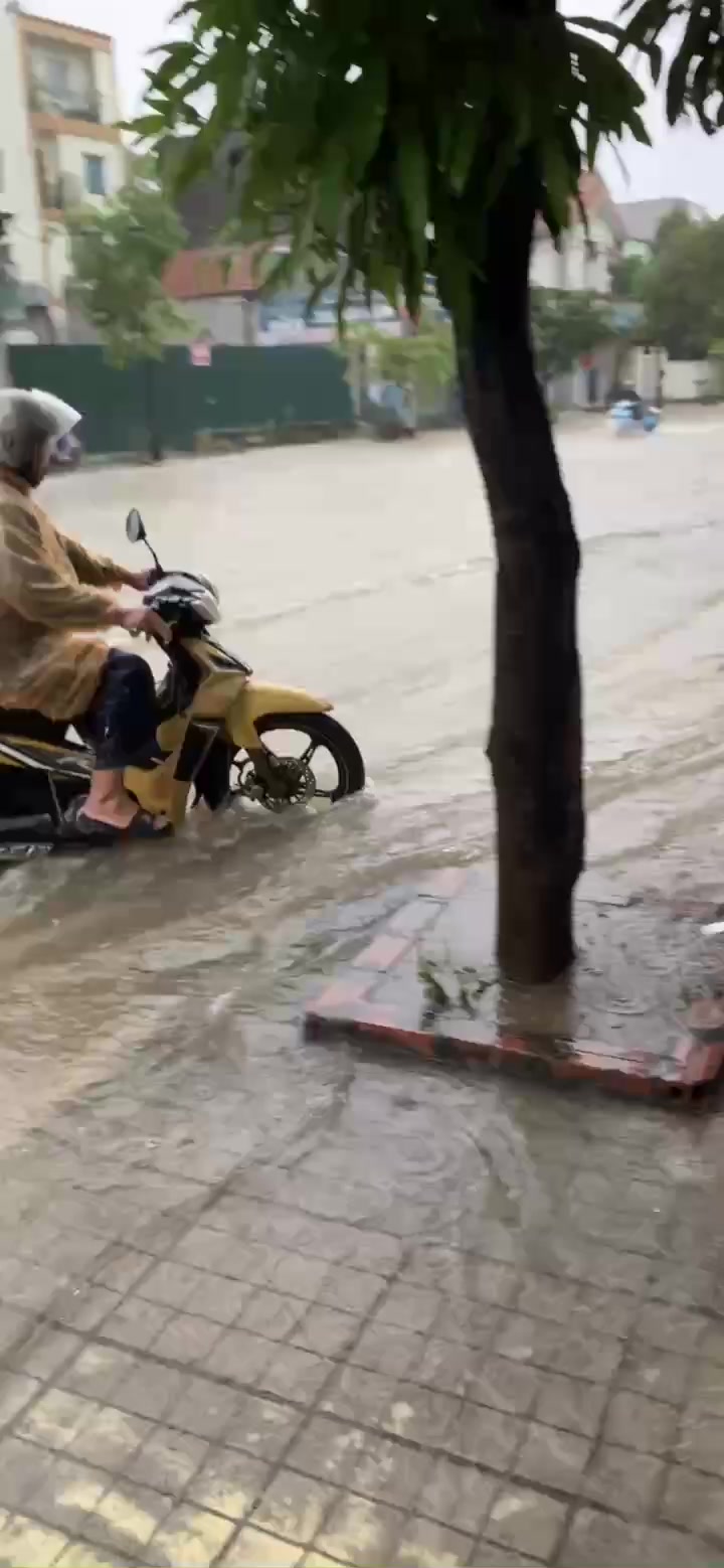 @Phạm Văn Thảo