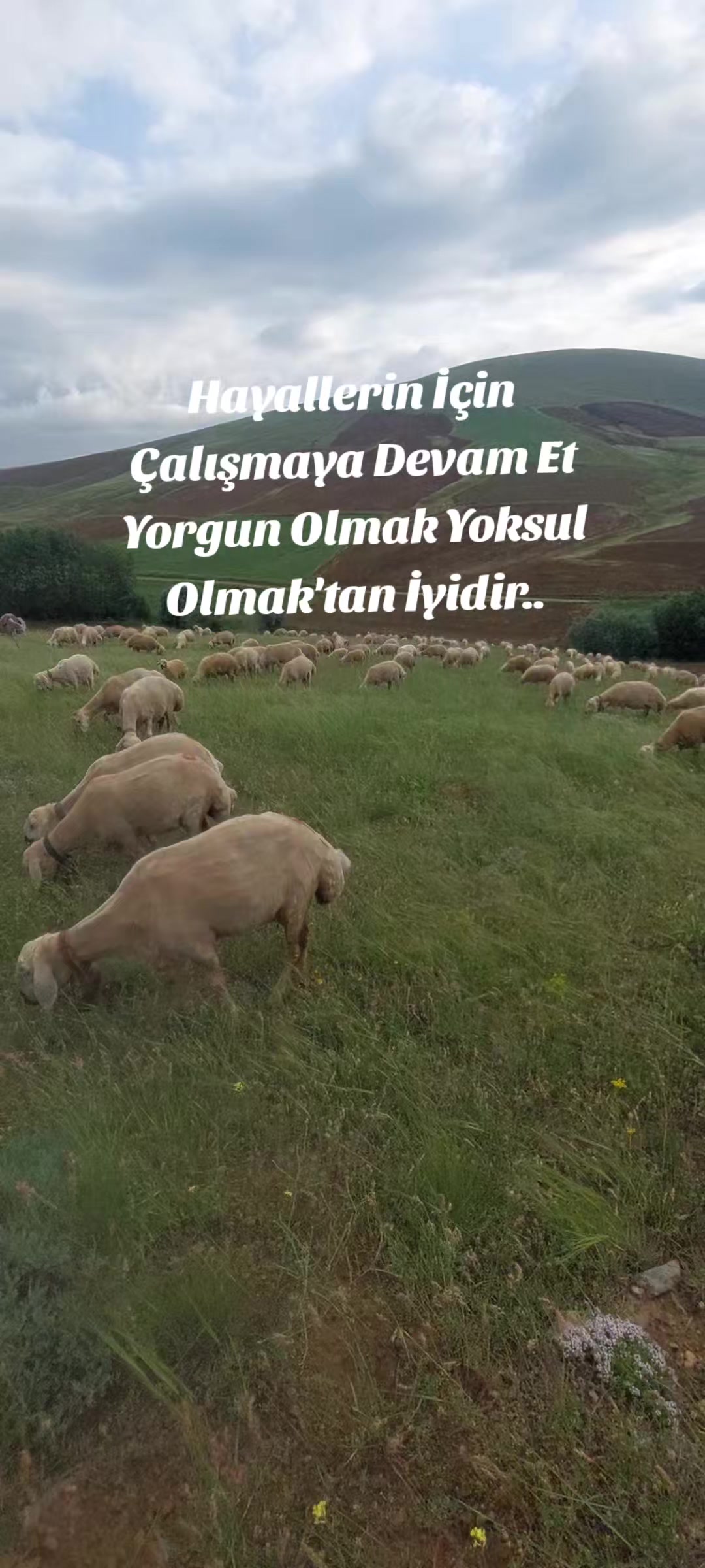 @👑Emirhan👑