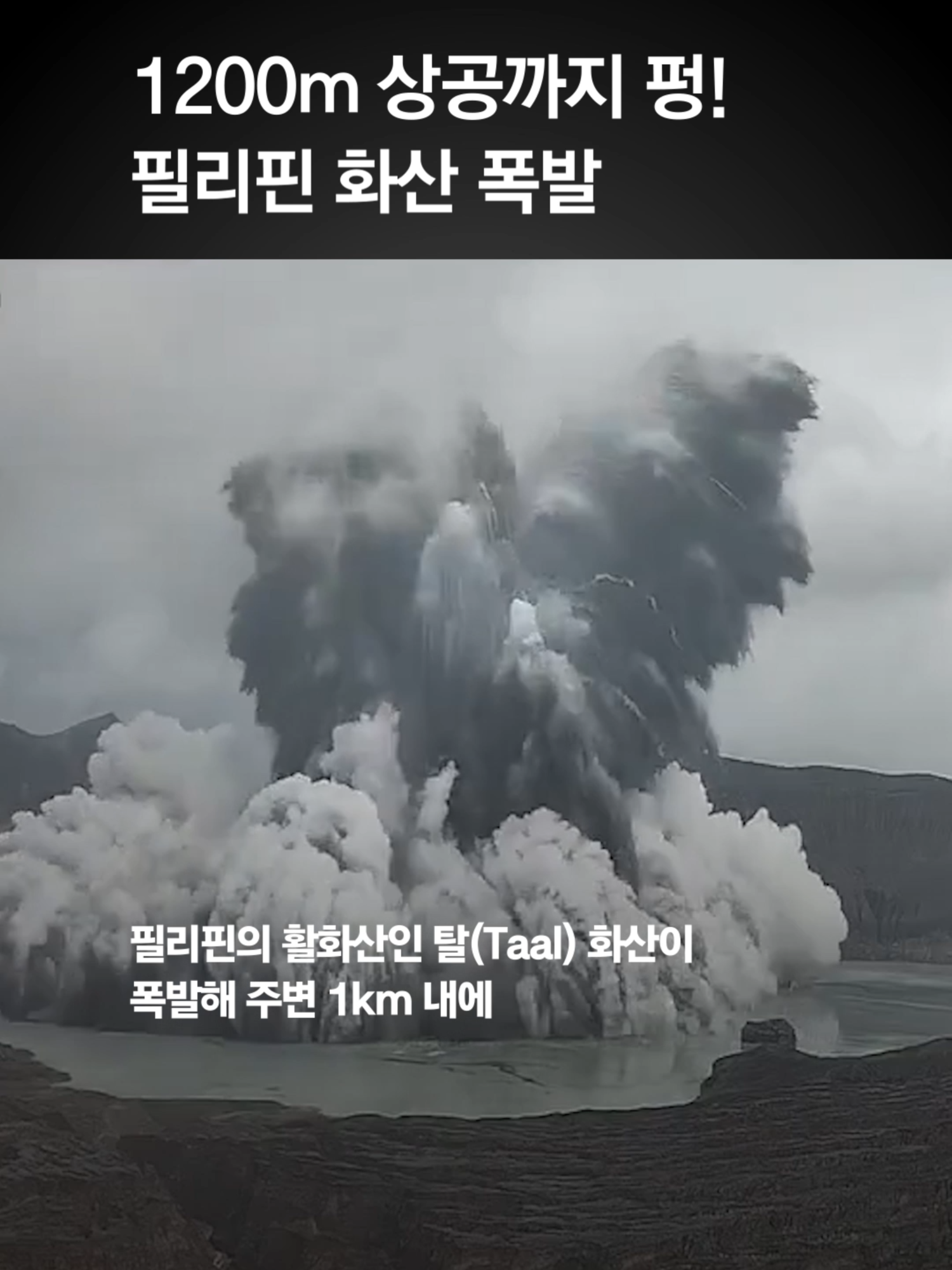 @중앙일보 Joongangilbo