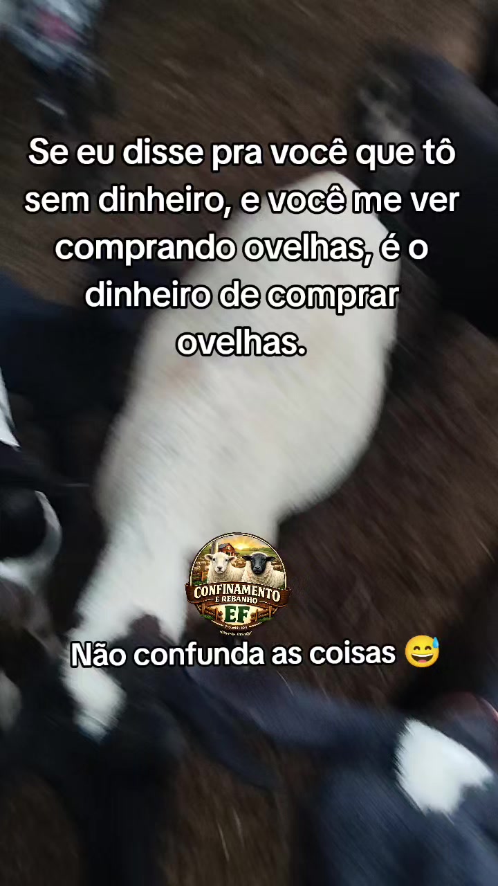 @Rebanho E.F - Confinamento