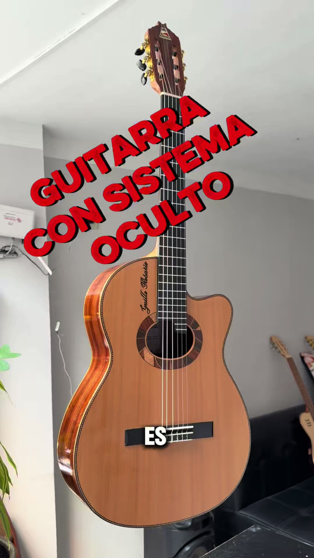 @Guitarras Andina