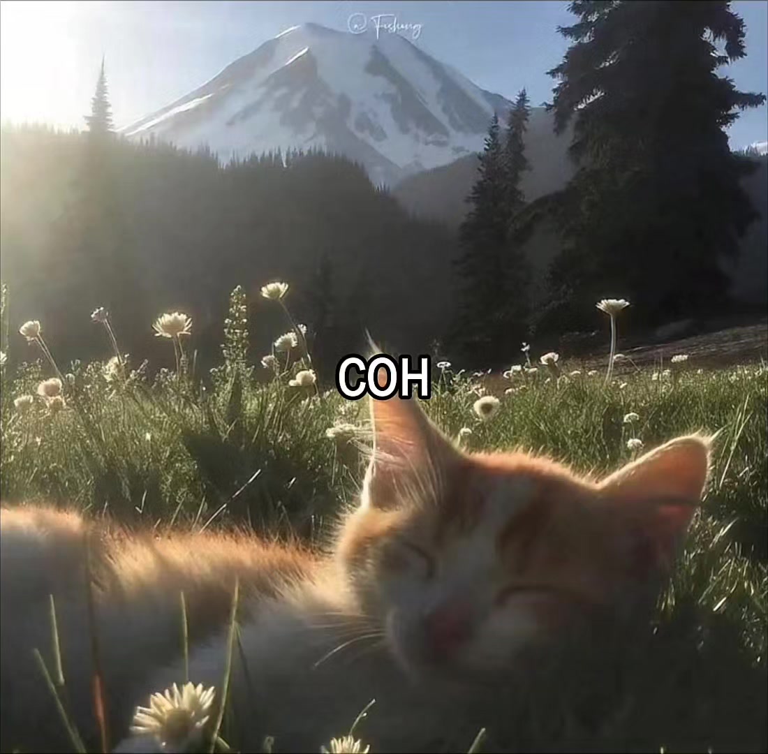 @#Куплетик#