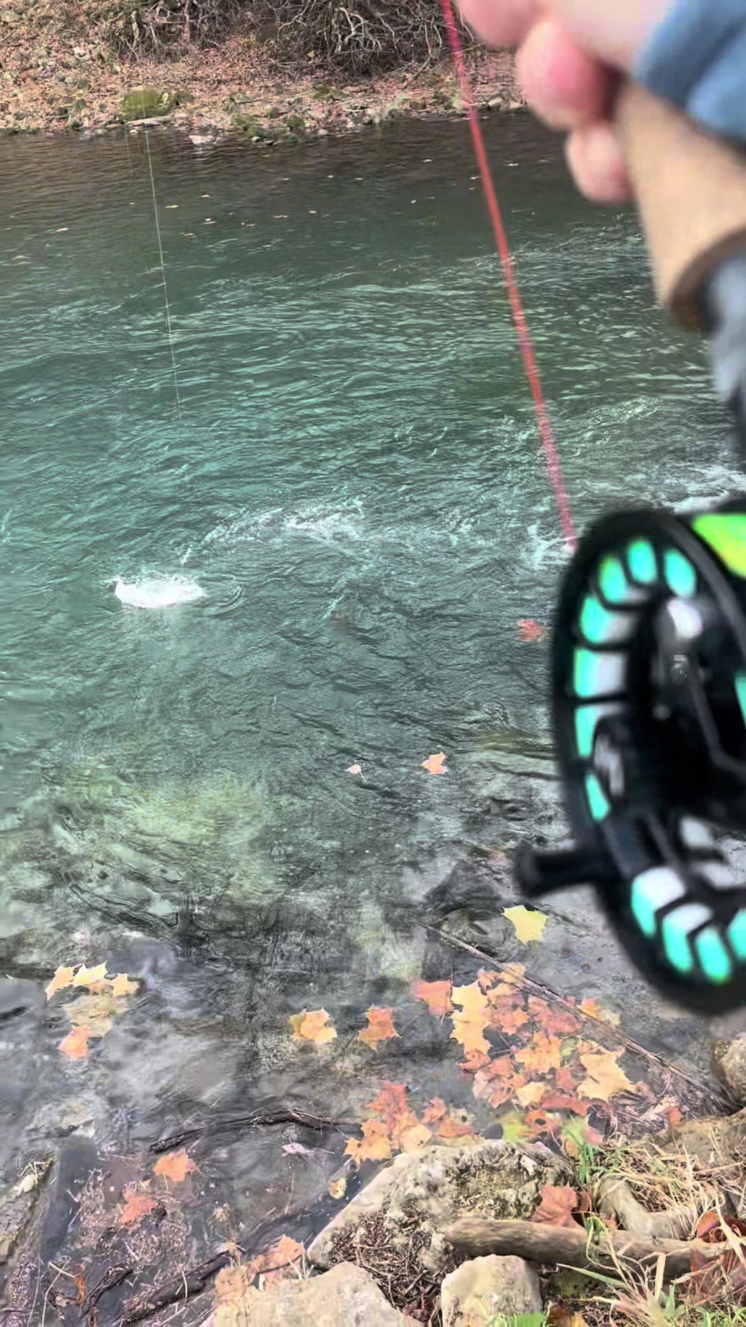 @Rubeo.onthefly