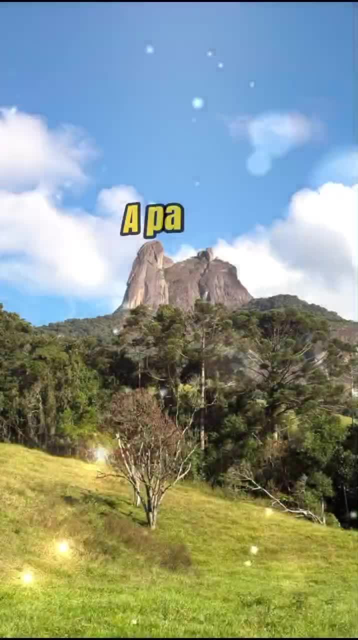 @Alessandra Ribeiro