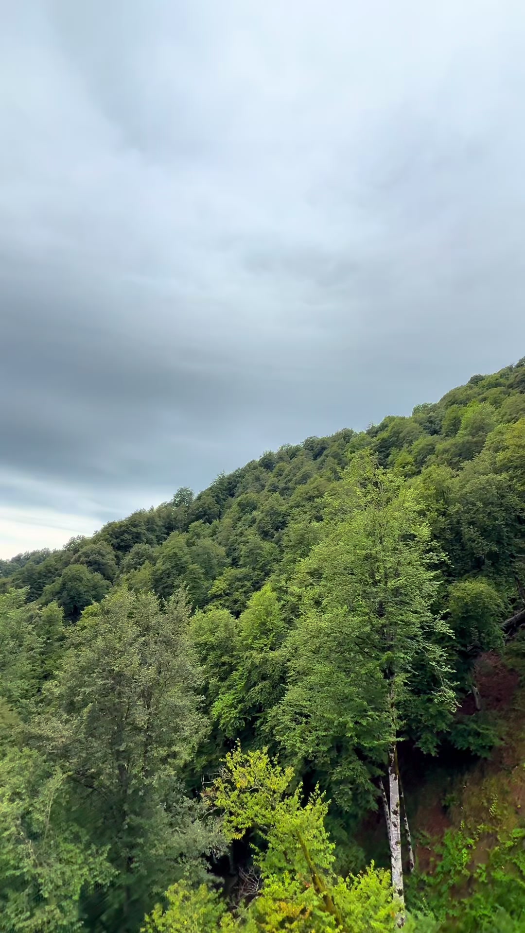@𝑺.🇦🇿