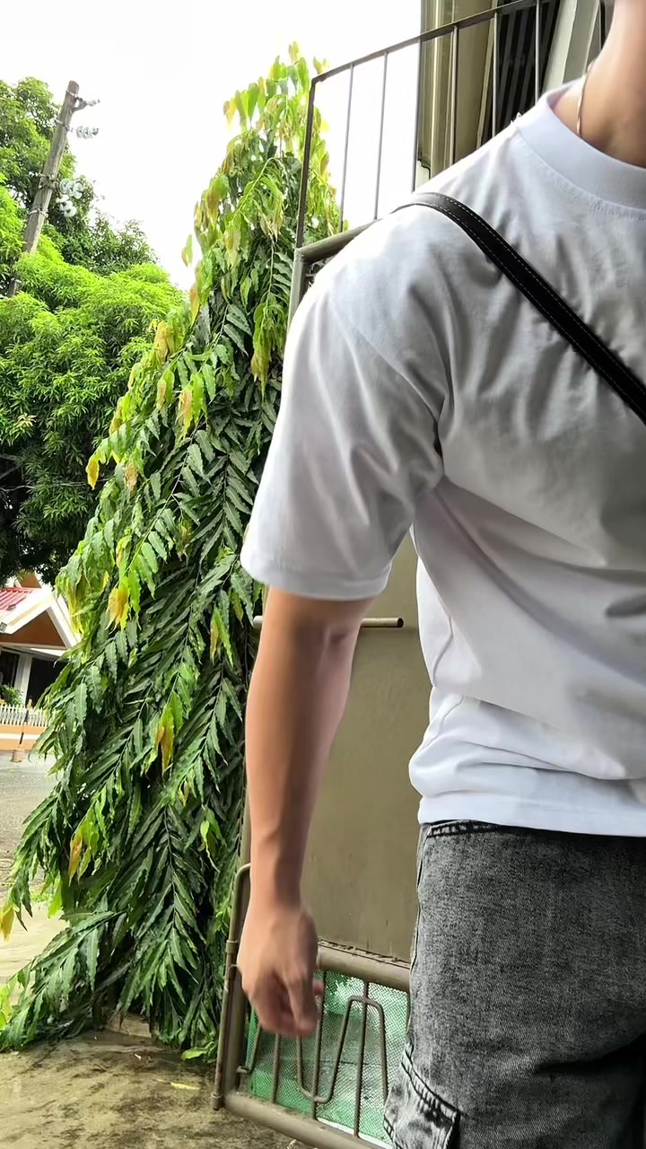 @JDaily