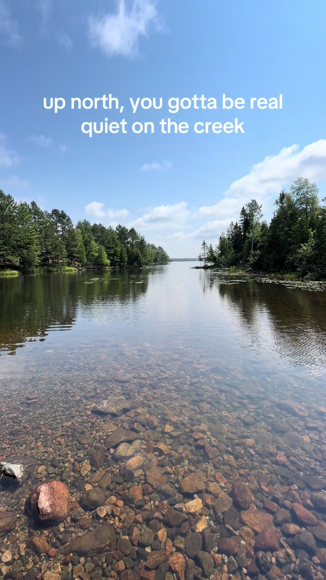 @gopherlifemn
