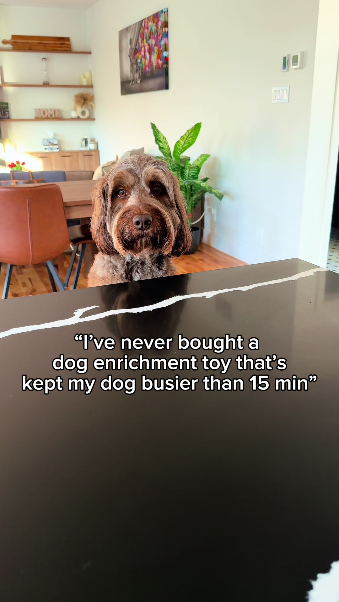 @Dogs Made Simple