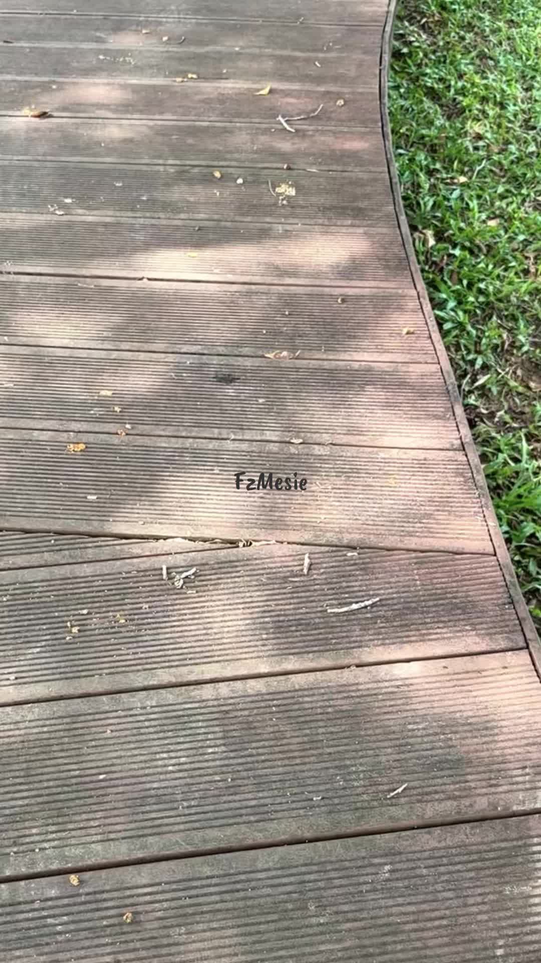 @FzMesie