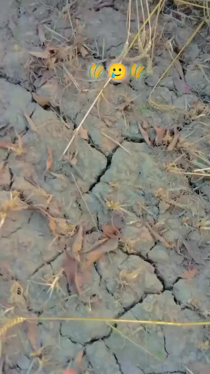 @𝙃