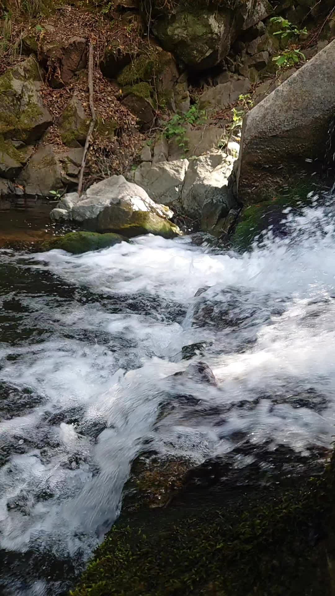 @ᥫ᭡