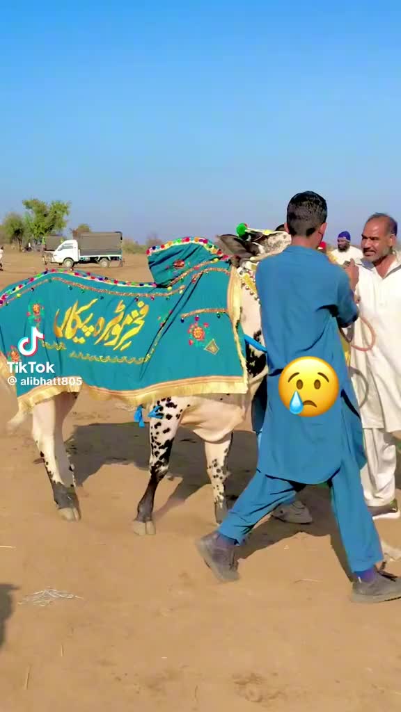 @kashiaf