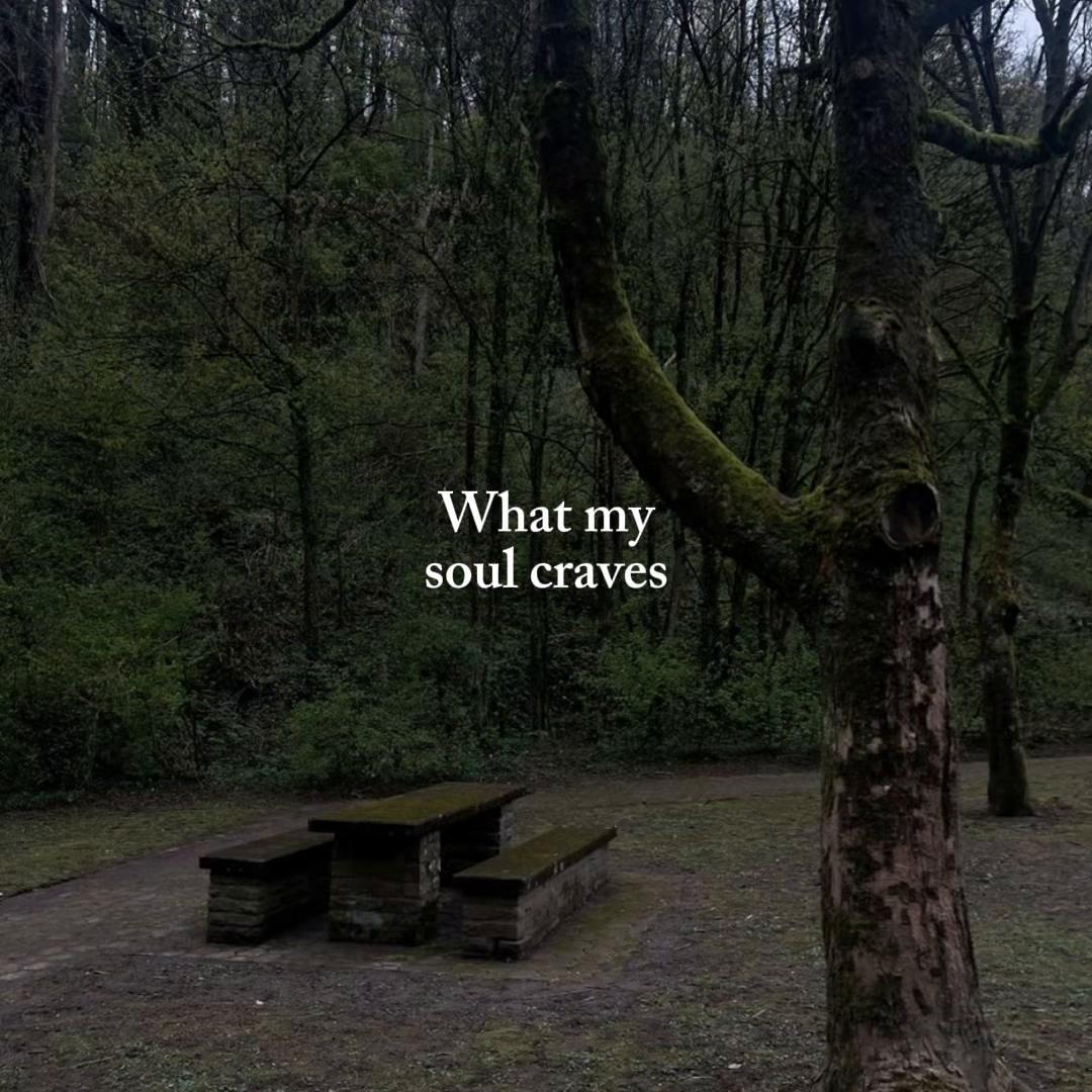 @Timeless Portal 💫