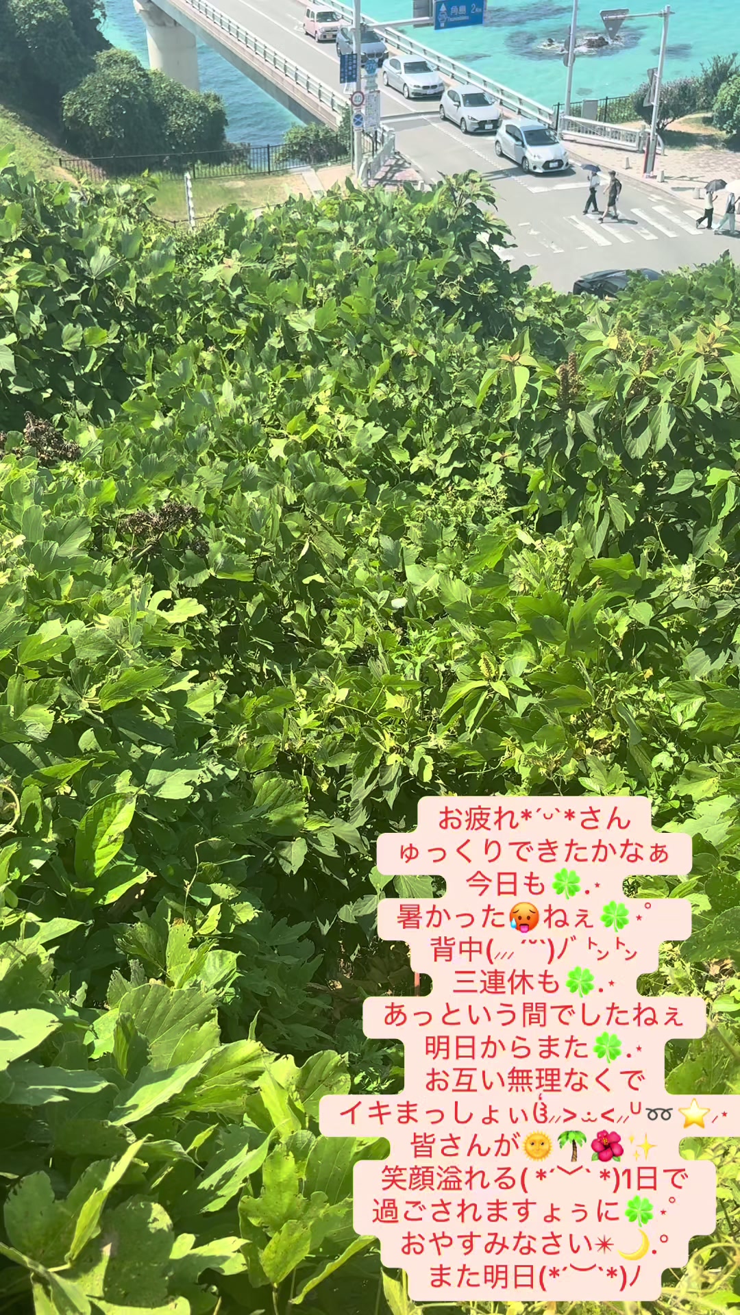 @coo~ꕤ୭*