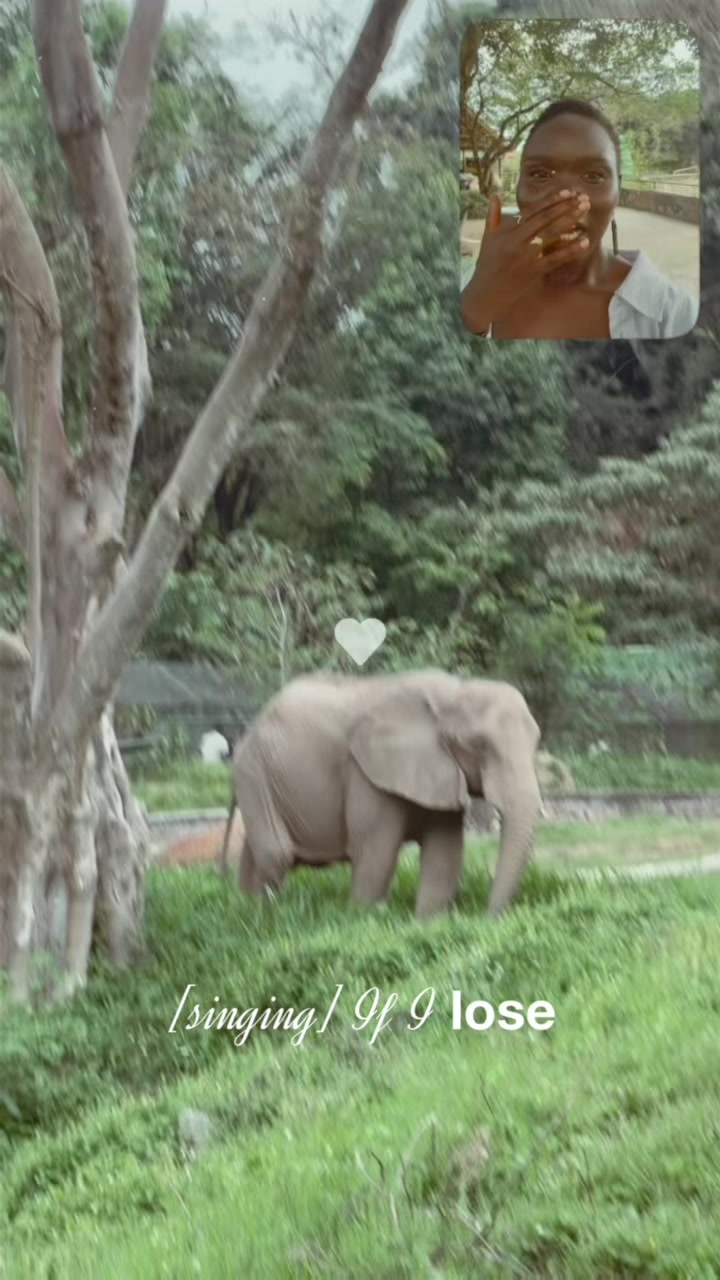 @ANZOA