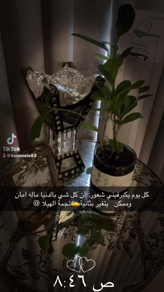 @⭐️⭐️⭐️نجمة&ensp;الهيلا&ensp;وبس&ensp;&ensp;⭐️(١)⭐️