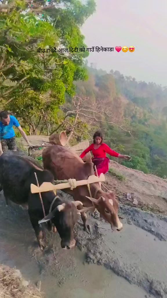 @Dipesh Ojha🌹❤️🇳🇵