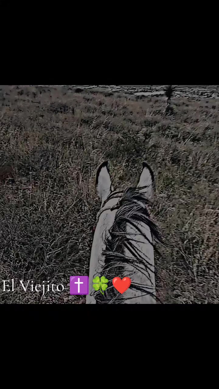 @Viejito Cordova✝️🍀❤️🐎🦅
