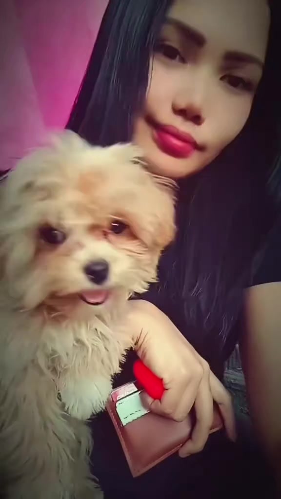 @๐ฆ๐ฅโ๐๐๐๐๐๐ ๐๐๐๐๐โ