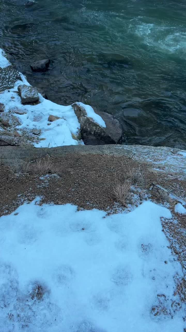 @Keltoogroovy 🌊