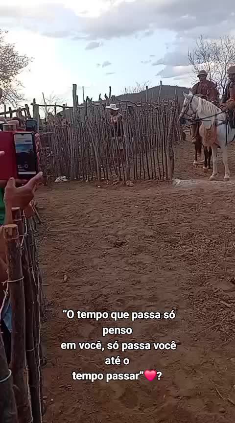 @evinhaaah