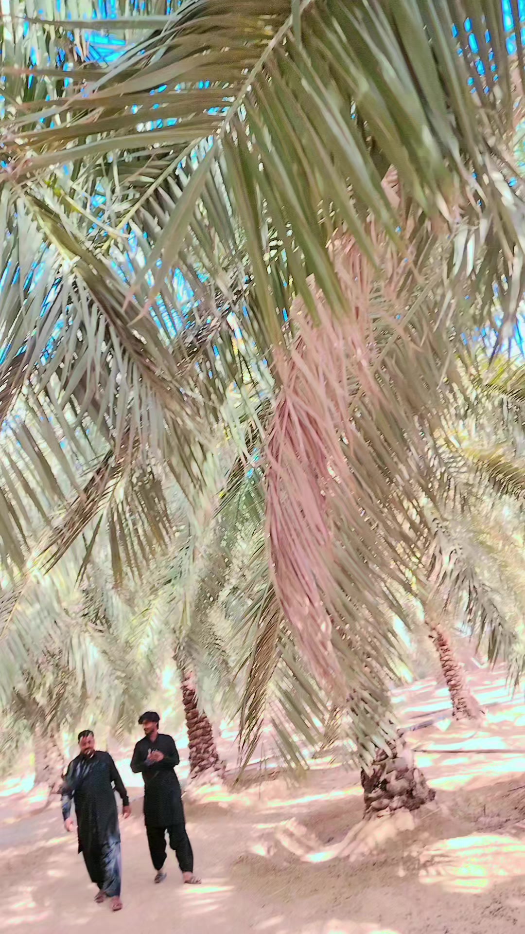 @ℳujaᏂᎥd ᴬʰᵐᵃᵈᵃⁿⁱ