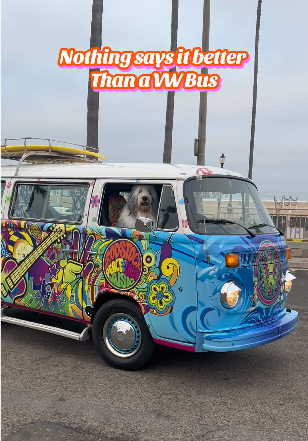 @Bowie ☮️❤️🚎😃