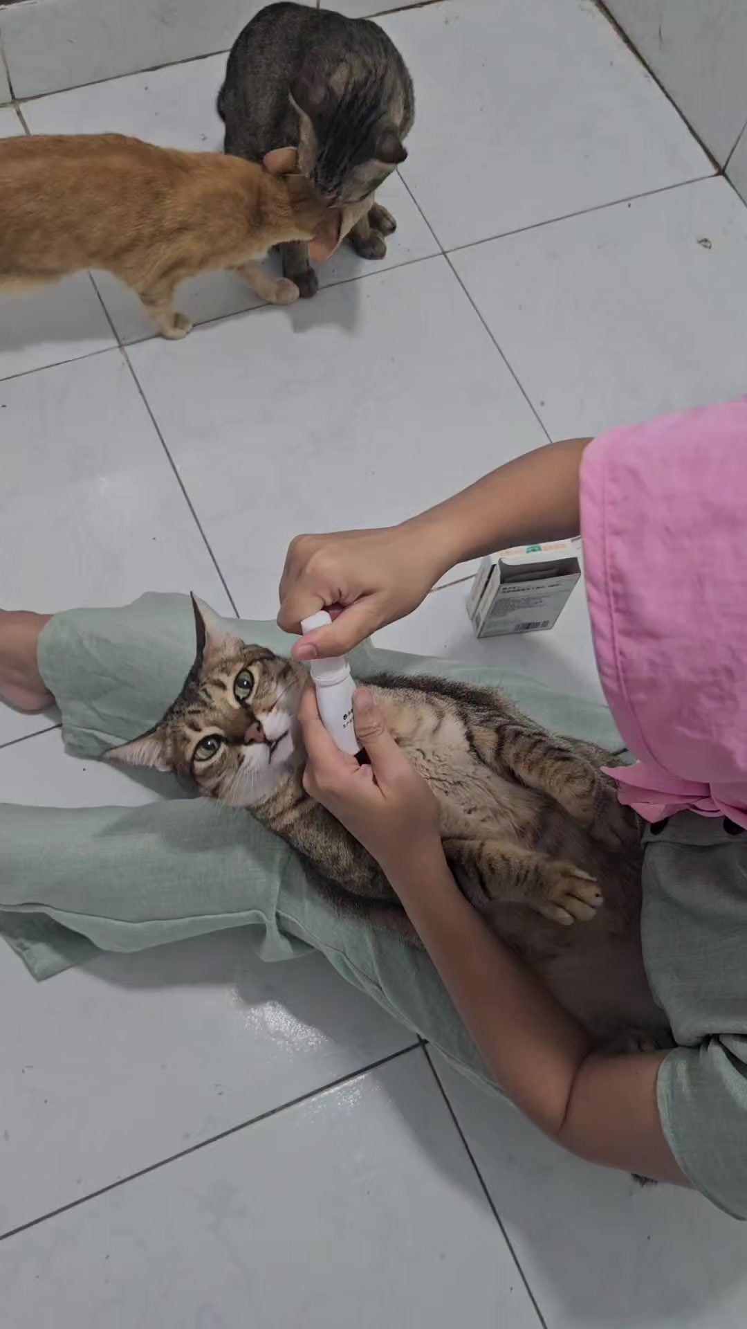 @Khế thúi