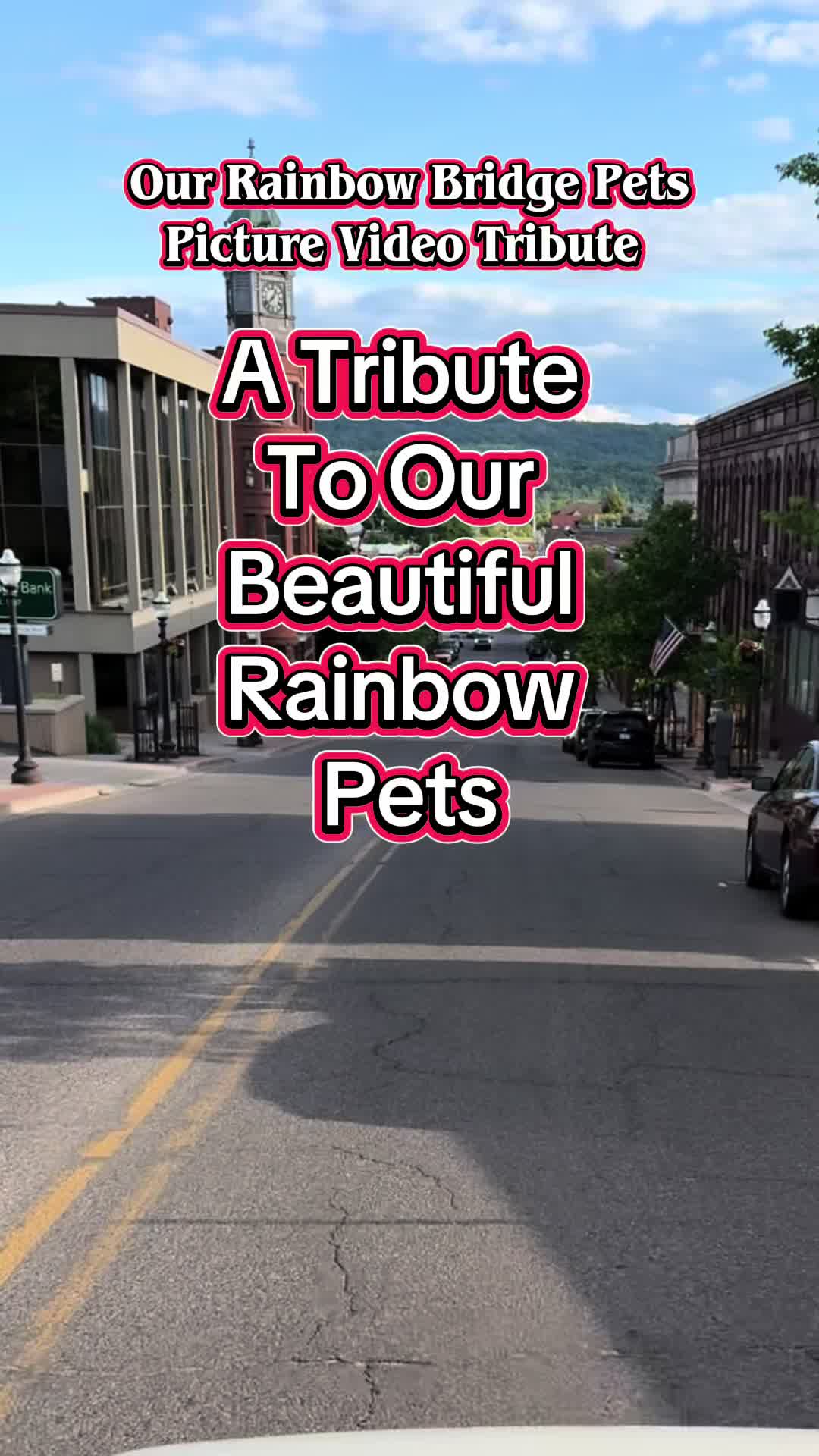 @OurRainbowBridgePets