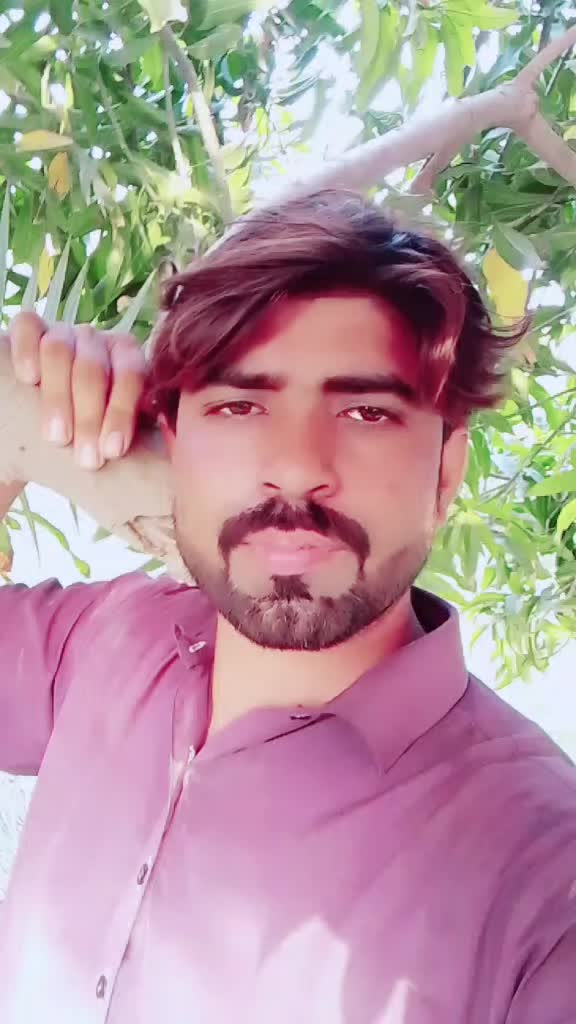@abbasi