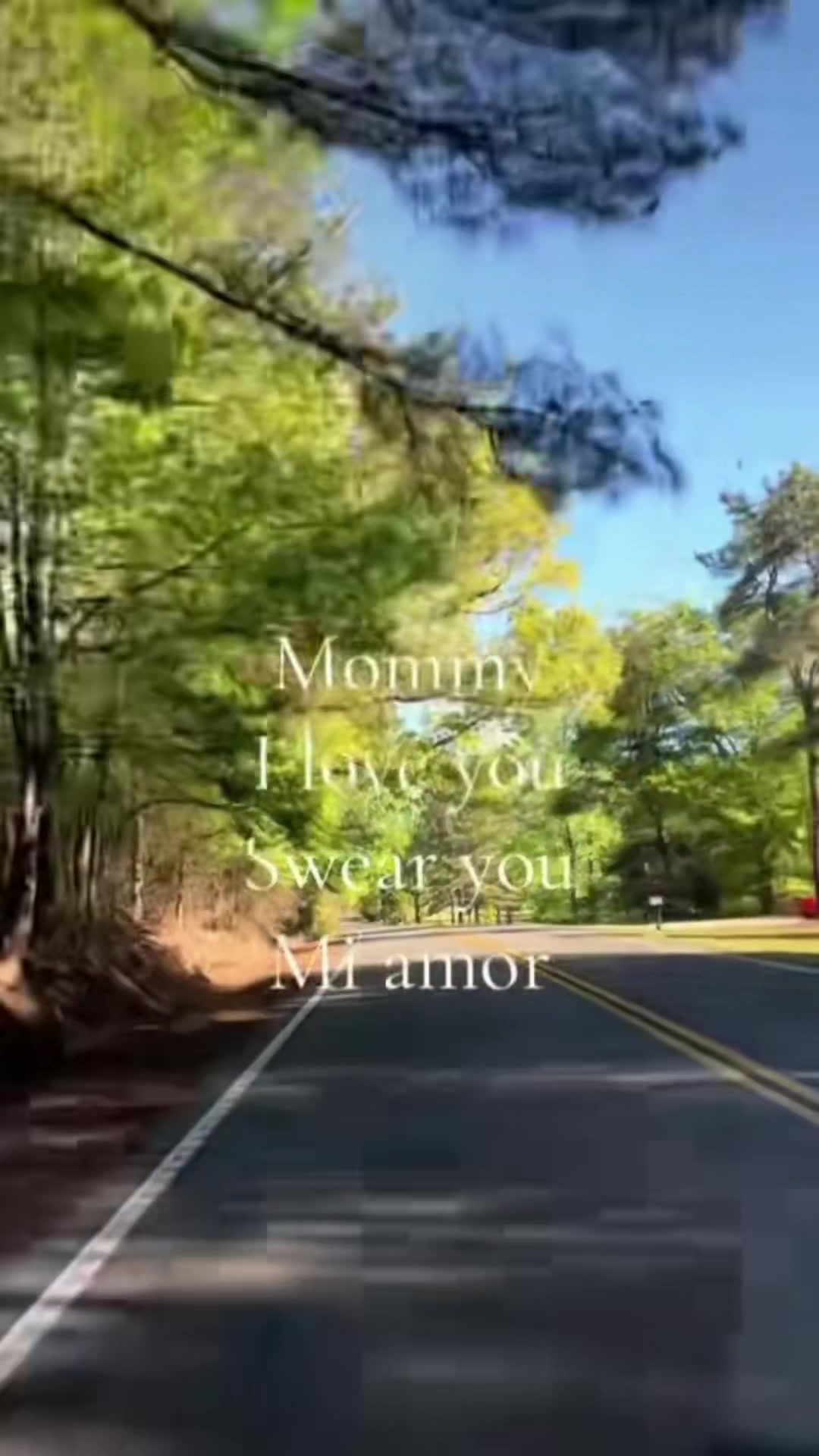 @T̷r̷a̷c̷k̷h̷a̷w̷k̷🏎️💨