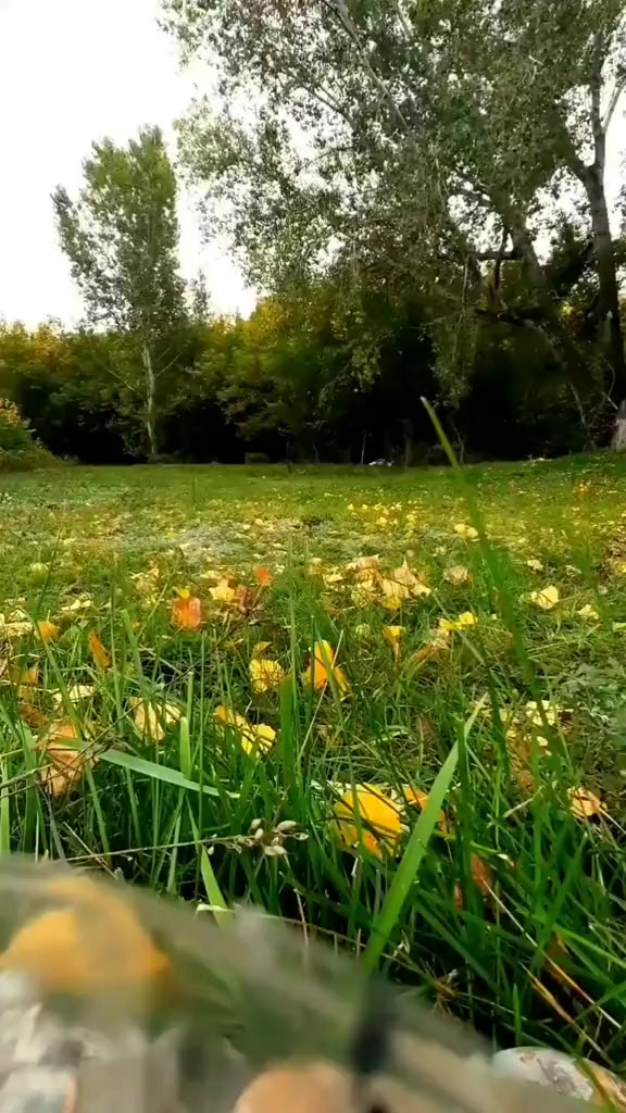 @☆ИванычЯ☆