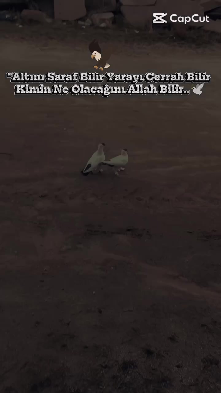 @🕊️FURKAN KARAMAN 03🕊️