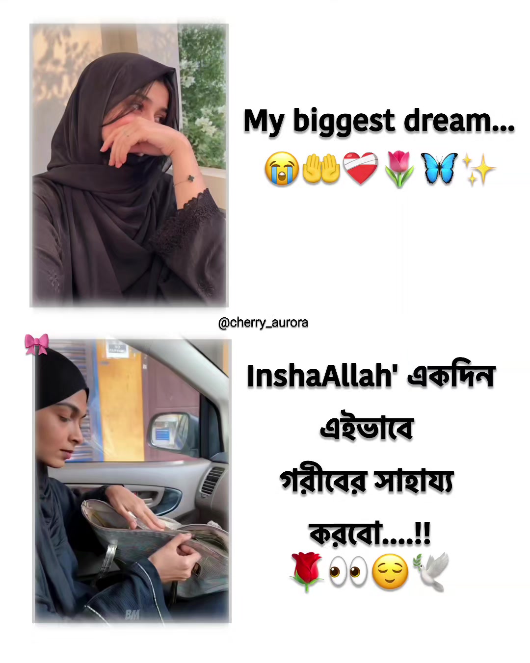 @˖ ִֶָ 𝗔𝘂𝗿𝗼𝗿𝗮 ୨୧ ऑरोरा 🩷