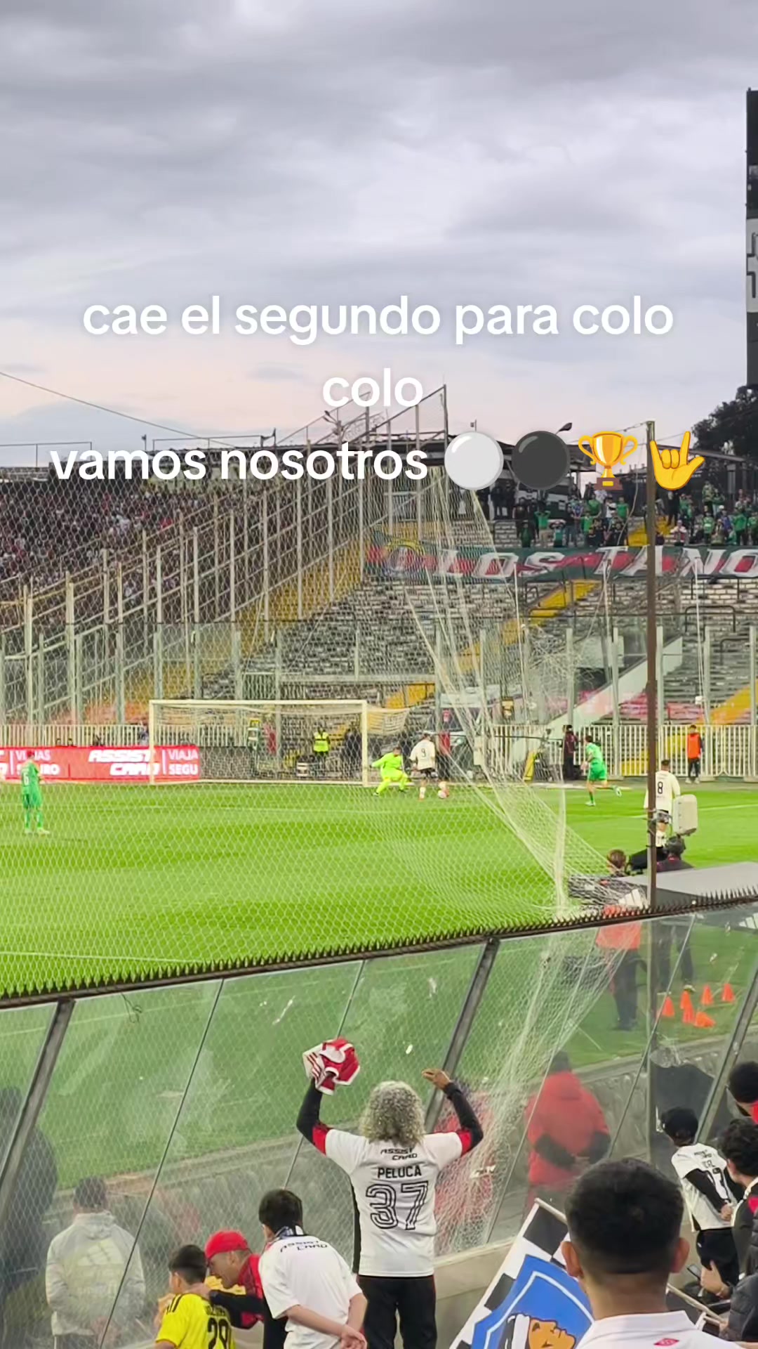 @indumentaria_colocolo_6