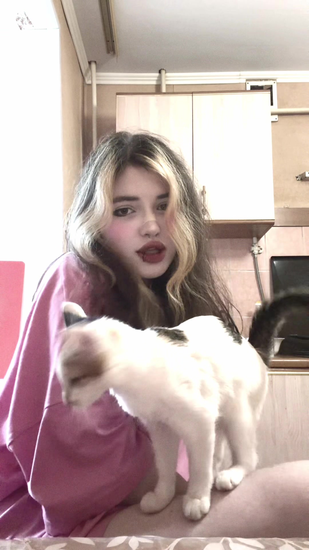 @nikafavoch