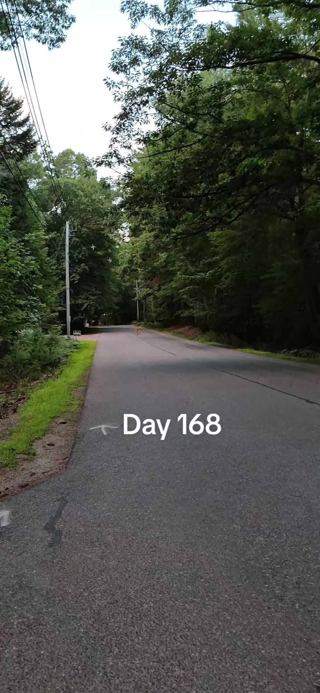 @EveninAcadia