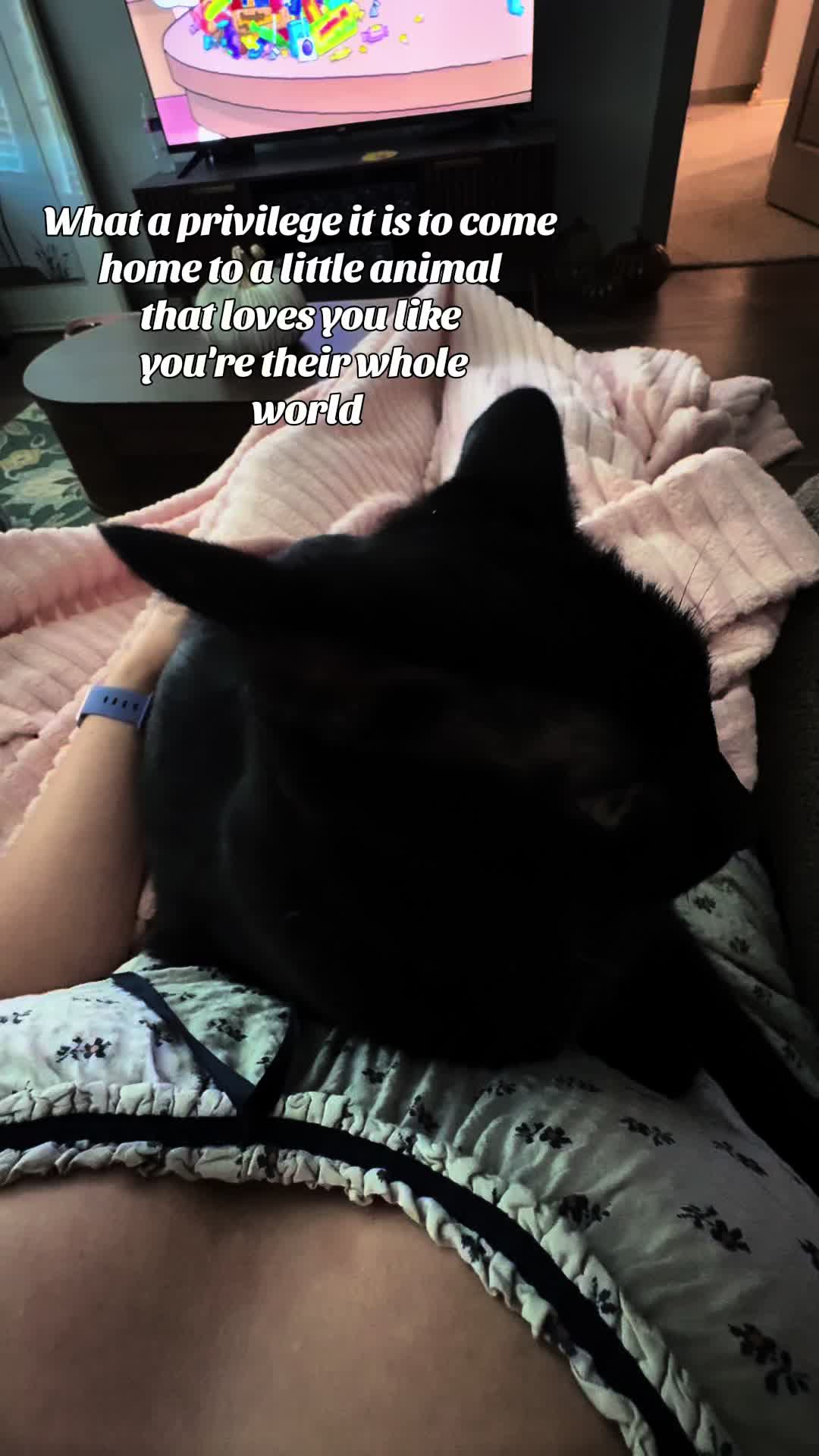 @itsmabel