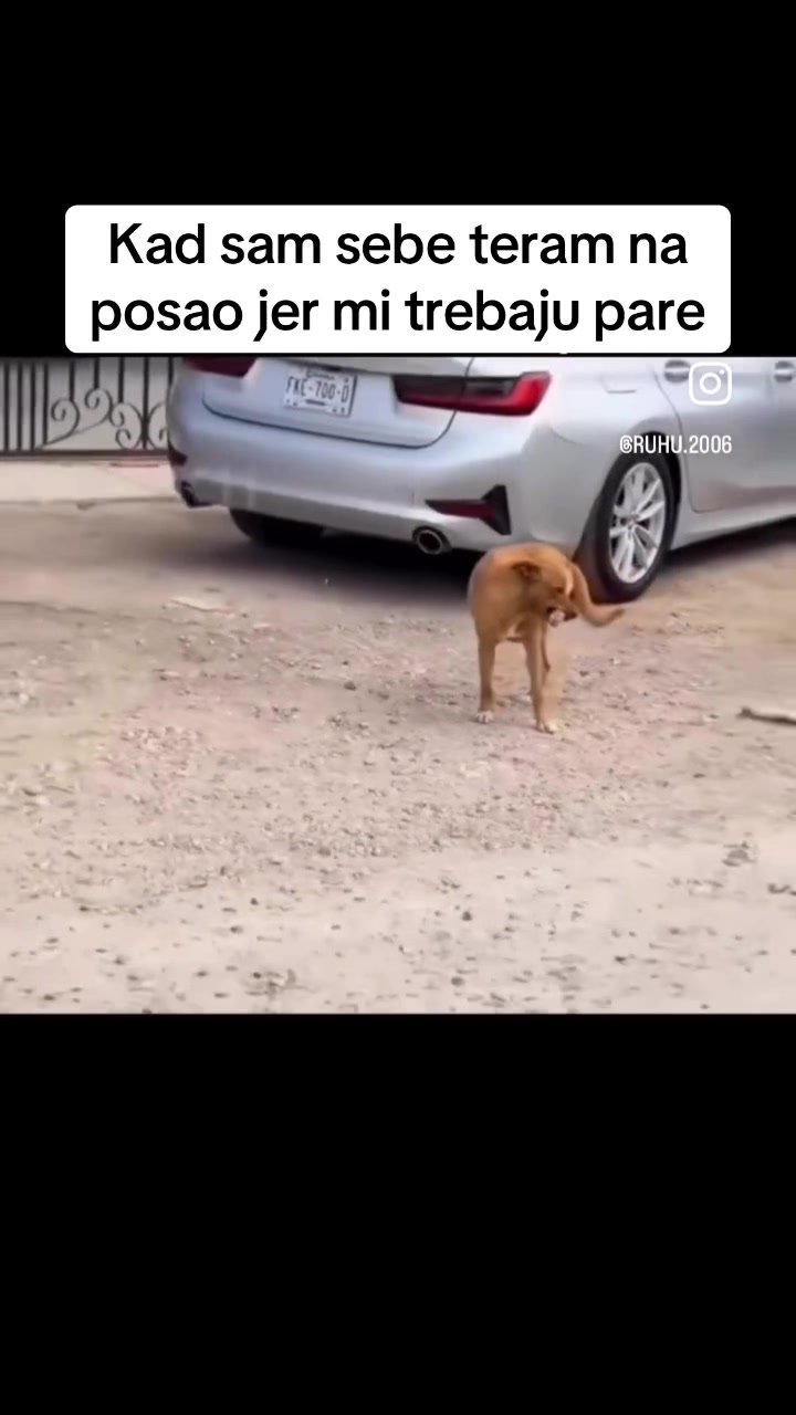 @onlyMane