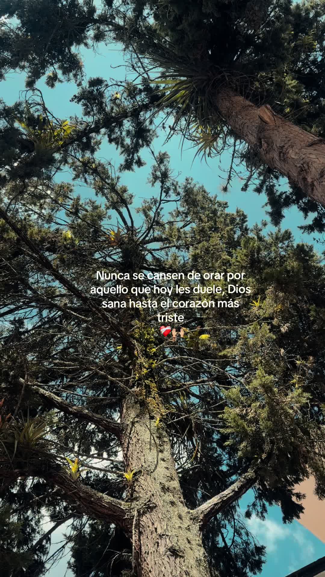 @🪫🪐JulioGt502_.🧃