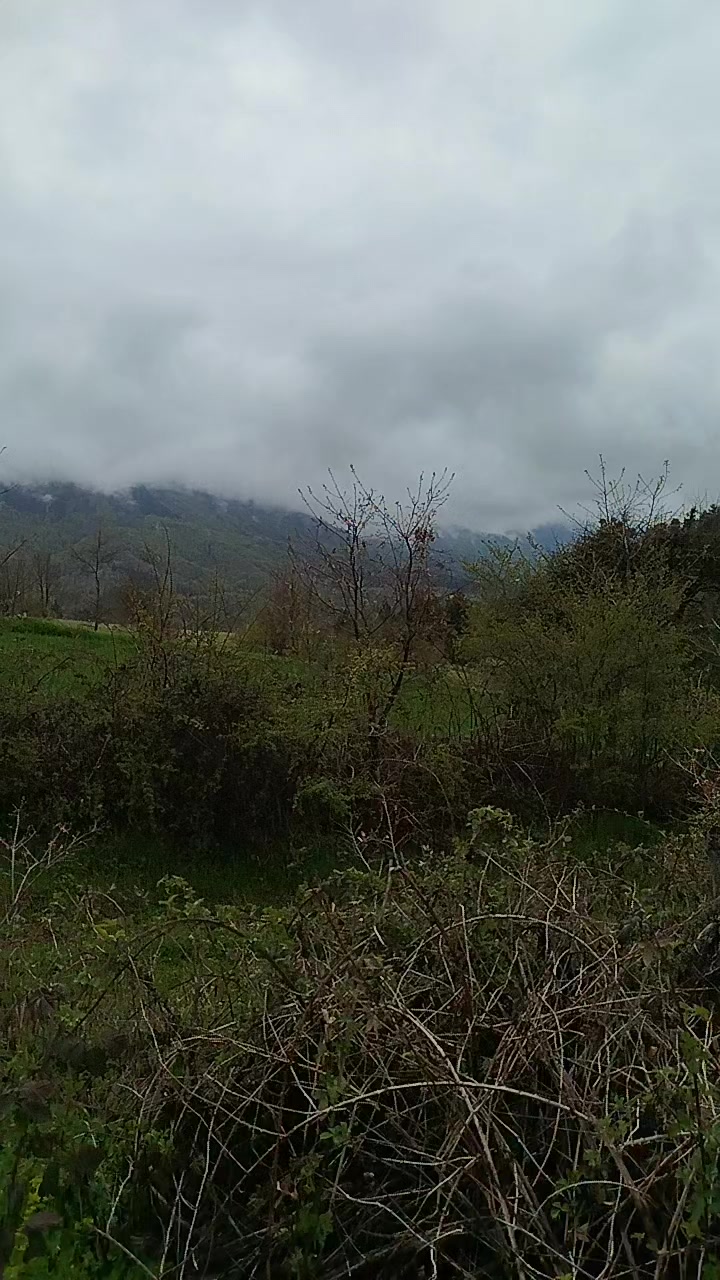 @bozkurt