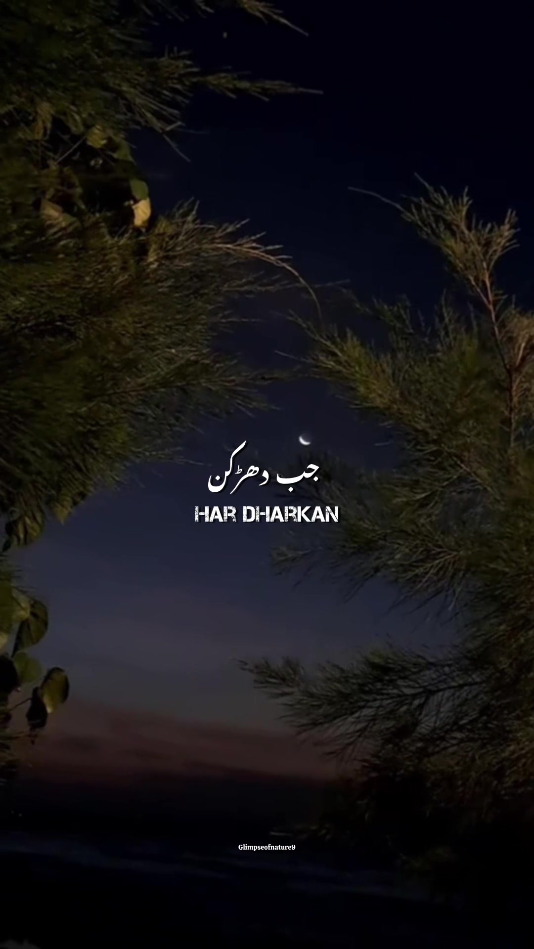 @Amna Mir❥
