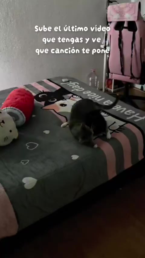 @ꨄSarioꨄ
